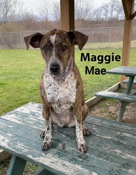 Maggie Mae