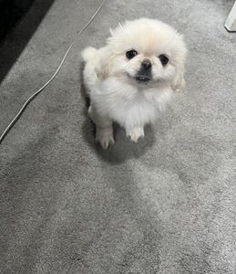 Chloe