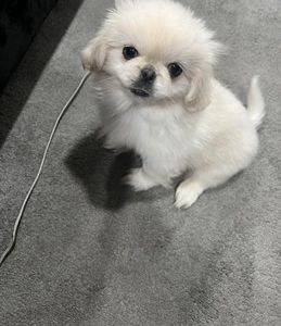Chloe