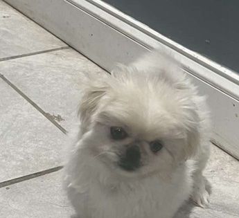 Maxx