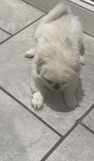 Maxx
