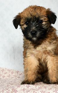 Etta