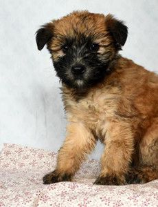 Etta