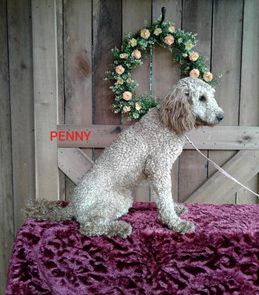 Penny