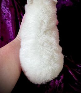 SnowWhiteFemale