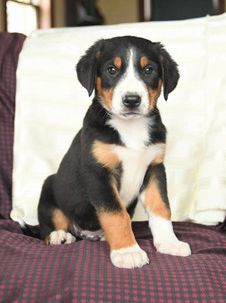 Buster