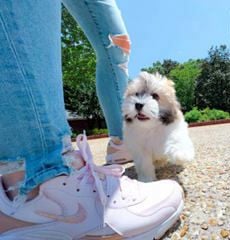 Gomez CUTE VID