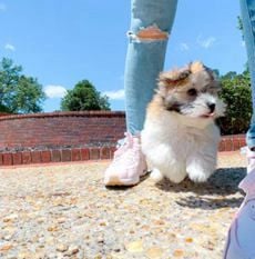 Gomez CUTE VID
