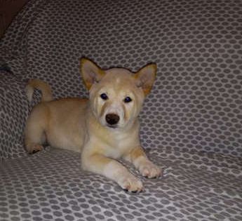 Jax