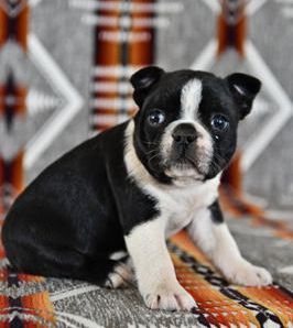 Malcolm