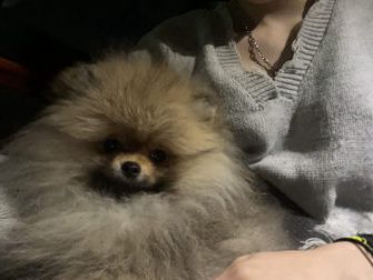 Mia