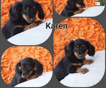 Karen