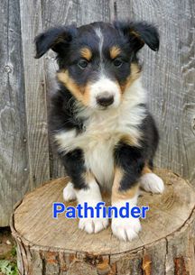 Pathfinder