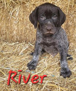 RIVER