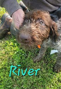 RIVER