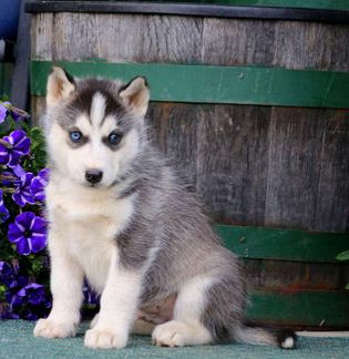 Skye