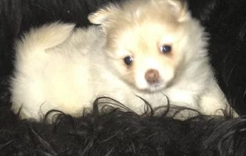 Tiny Baby