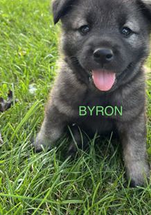 Byron