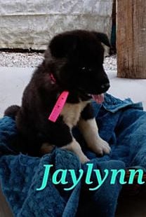 Jaylynn