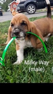 Milky Way
