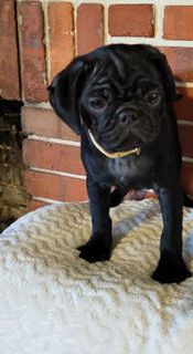 Jax