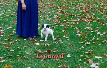 Leonard