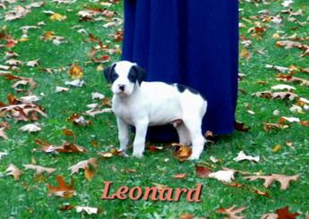 Leonard