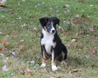Buster