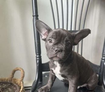 Rosco