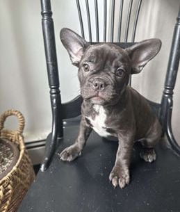 Rosco