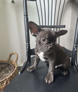 Rosco