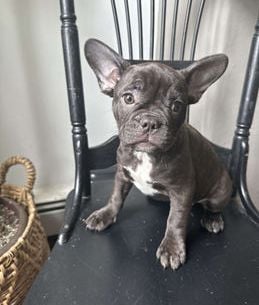 Rosco