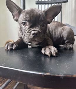 Rosco