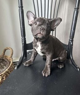 Rosco