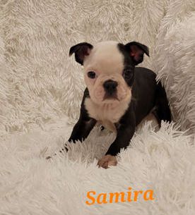 Samira