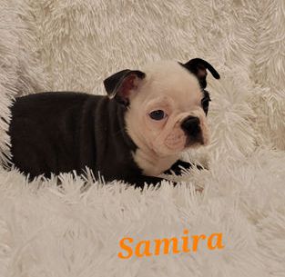 Samira
