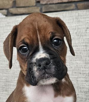 Kona