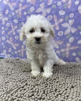 Matilda