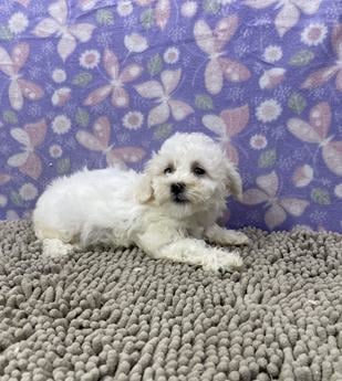 Matilda