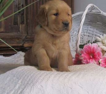 Monty