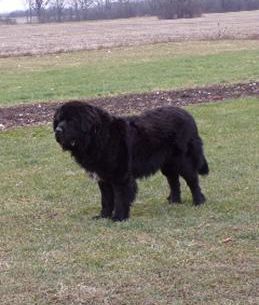 Sammy of Rose Hill