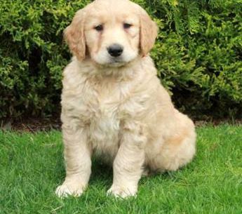 Charlie