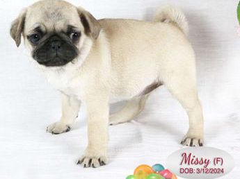 Missy