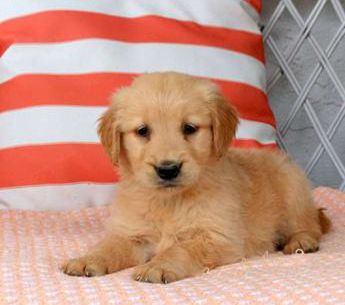Athena