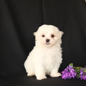 Benny