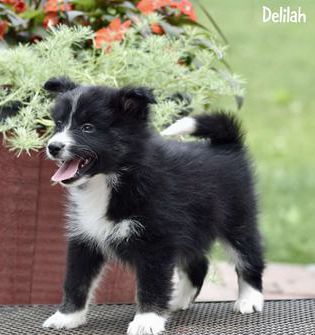 Delilah