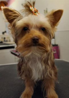 Eloise