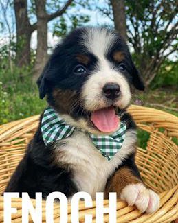Enoch