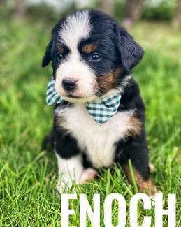 Enoch