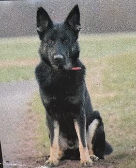 Luca